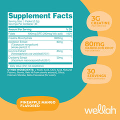 Wellah Pump-It-Up stick travel pack designed for gym bags and busy days.