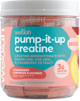 Wellah Pump-It-Up Creatine Strawberry Lemonade stick for on-the-go workouts