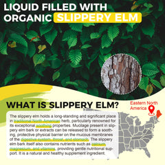 Well&Whole dgl licorice extract drops jar communicates digestive support.