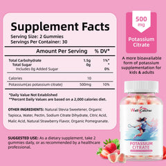 Wellcatcher potassium gummies closeup shows 500 mg potassium citrate per serving