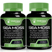 Wellness LabsRx Irish Sea Moss Capsules bottle supports immune health and daily vitality.
