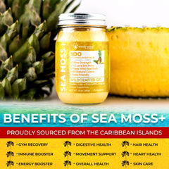 WELLNESS LABSRX pineapple-flavor gel swirl showcasing taste and easy incorporation.