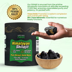 Wellness Nest Gold Shilajit resin lab test report visible for safety and purity