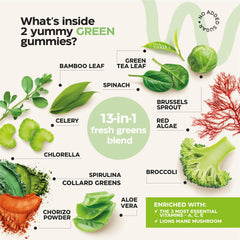 Wellneum veggies blend ingredients spotlight greens like spirulina and broccoli.