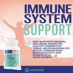 WELMATE Zinc Sulfate bottle front communicates 200-tablet value for ongoing use