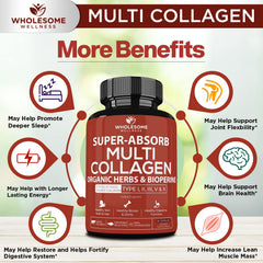 Wholesome Wellness Bioperine formulation shown to support absorption potential