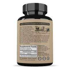 Wholesome Wellness desiccated liver capsules closeup highlighting rich nutrition for daily energy