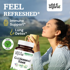 Close-up of Wild & Organic Goldenseal capsules with smooth veggie coating.