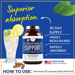 Windsor Botanicals cholesterol capsules close-up highlighting vegan blend for cholesterol support.
