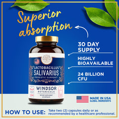 Windsor Botanicals digestive health support for gut balance.