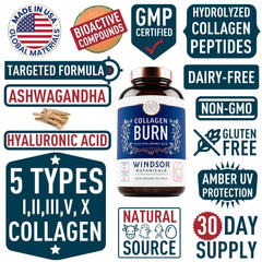 WINDSOR BOTANICALS five-type collagen diagram shows diverse protein support.