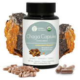 WL Herbal Treasure Chaga capsules bottle front showing organic energy support