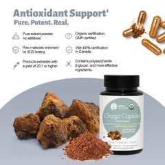 WL Herbal Treasure Chaga powder tub highlighting pure extract for daily wellness