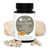 WL Herbal Treasure Lions Mane bottle on desk supporting focused work