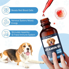 WOMRICH B12 energy support for dogs in action.