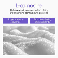 WONDER FAMILY natural phospholipids from sunflower lecithin in the formula