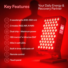 Wonder Family red light panel side setup shows compact design for home use