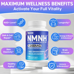 Wriayrui NMNH ingredients showcase resveratrol and TMG blend for metabolic support.