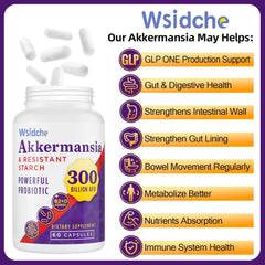 Wsidche Akkermansia daily-use capsules for consistent digestive balance.