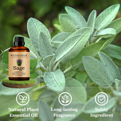 Wuvezrub Sage oil diffuser setup shown for easy aromatherapy sessions.