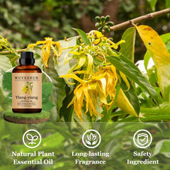 Wuvezrub Ylang-Ylang fragrance in a candle for long-lasting aroma.
