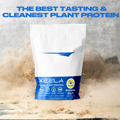 XEELA fermented sunflower-derived BCAAs for plant-based recovery.
