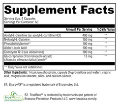 XYMOGEN NiaVasc time-release coating illustrates gradual, steady niacin release.