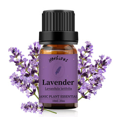 Yethious Lavender Oil bottle ready for diffuser use and relaxation.