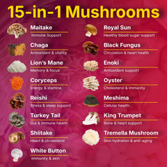 Yi Nutrition sugar-free mushroom gummies without added sugar and artificial flavors