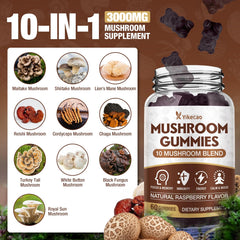 Yikecao 10-mushroom blend graphic showing diverse ingredients for balance