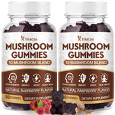 Yikecao 2-pack mushroom gummies bottle front for easy daily focus