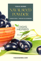 YOGIS HERBS Naval Seed Powder being scooped for daily use
