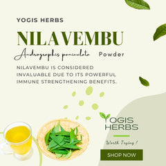 YOGIS HERBS Nilavembu powder dried leaves image highlights traditional herb material for routines.
