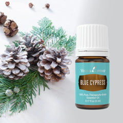 Young Living Blue Cypress bottle beside hiking gear for outdoor routines