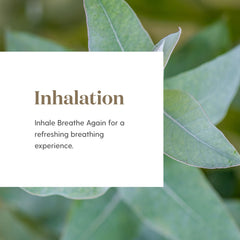 Young Living Breathe Again packaging box highlighting branding and blend