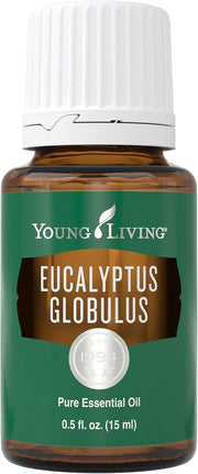 Young Living Eucalyptus Globulus bottle, ideal for diffusing and topical refreshment.