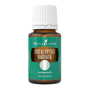 Young Living Eucalyptus Radiata 15ml bottle front, inviting an invigorating mood.
