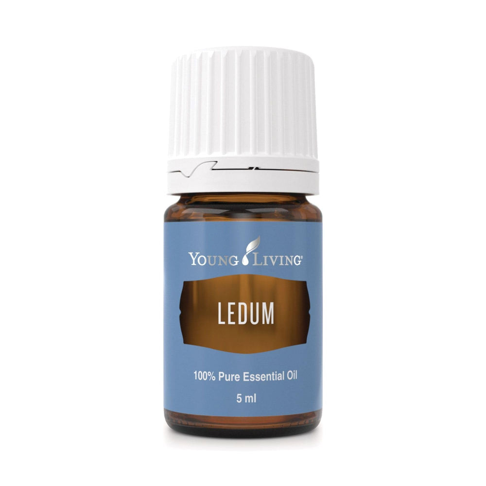 Young Living Ledum Premium Oil bottle ready for meditation aroma