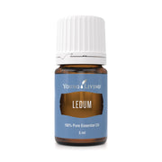 Young Living Ledum Premium Oil bottle ready for meditation aroma