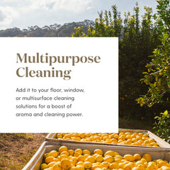 Skincare routine featuring Young Living Lemon Oil for a natural citrus boost.