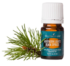 Young Living Northern Black Spruce massage oil for soothing muscles