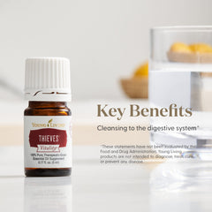 Young Living Thieves Vitality diffuser scene with uplifting aroma for relaxing spaces.