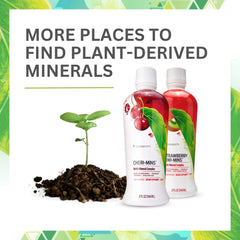 Youngevity Plant Derived Liquid Minerals pack of 2 bottles for convenience.