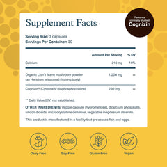 Closeup of Youtheory Lion's Mane+ capsules for easy daily use