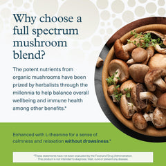 Youtheory Mushroom Stress Complex mushroom blend details including cordyceps and reishi