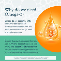 Close-up of algae oil content in Youtheory Omega formula
