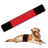 ZAEXAE red light therapy belt on a dog's back promoting comfort with dual wavelengths.