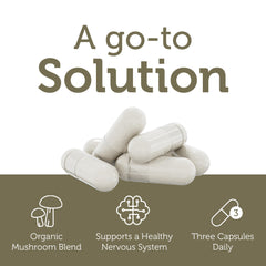 Zahler AdultFocus packaging box display shows ready-to-take capsules for busy mornings.