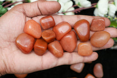 ZAICUS Carnelian stones in display jar, suitable for accent decor