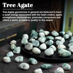 ZAICUS Tree Agate polished crystal emphasizing chakra balance and focus
